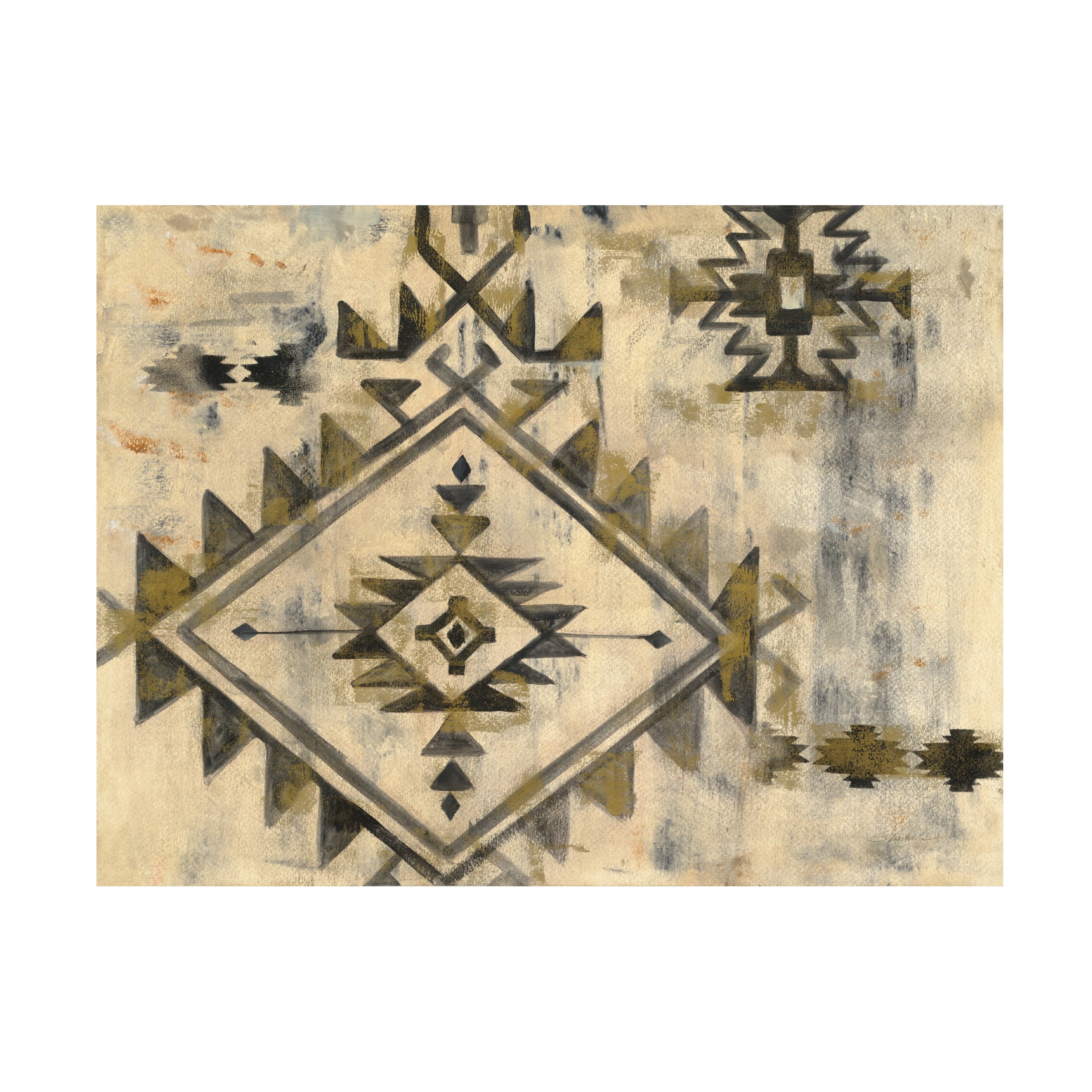Trademark Fine Art 'Southwest Design VI' Canvas Art by Silvia Vassileva
