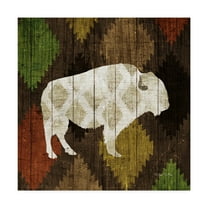 Trademark Fine Art 'Southwest Lodge Buffalo' Canvas Art by Michael Mullan
