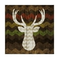 thumbnail image 1 of Trademark Fine Art 'Southwest Lodge Deer II' Canvas Art by Michael Mullan, 1 of 3