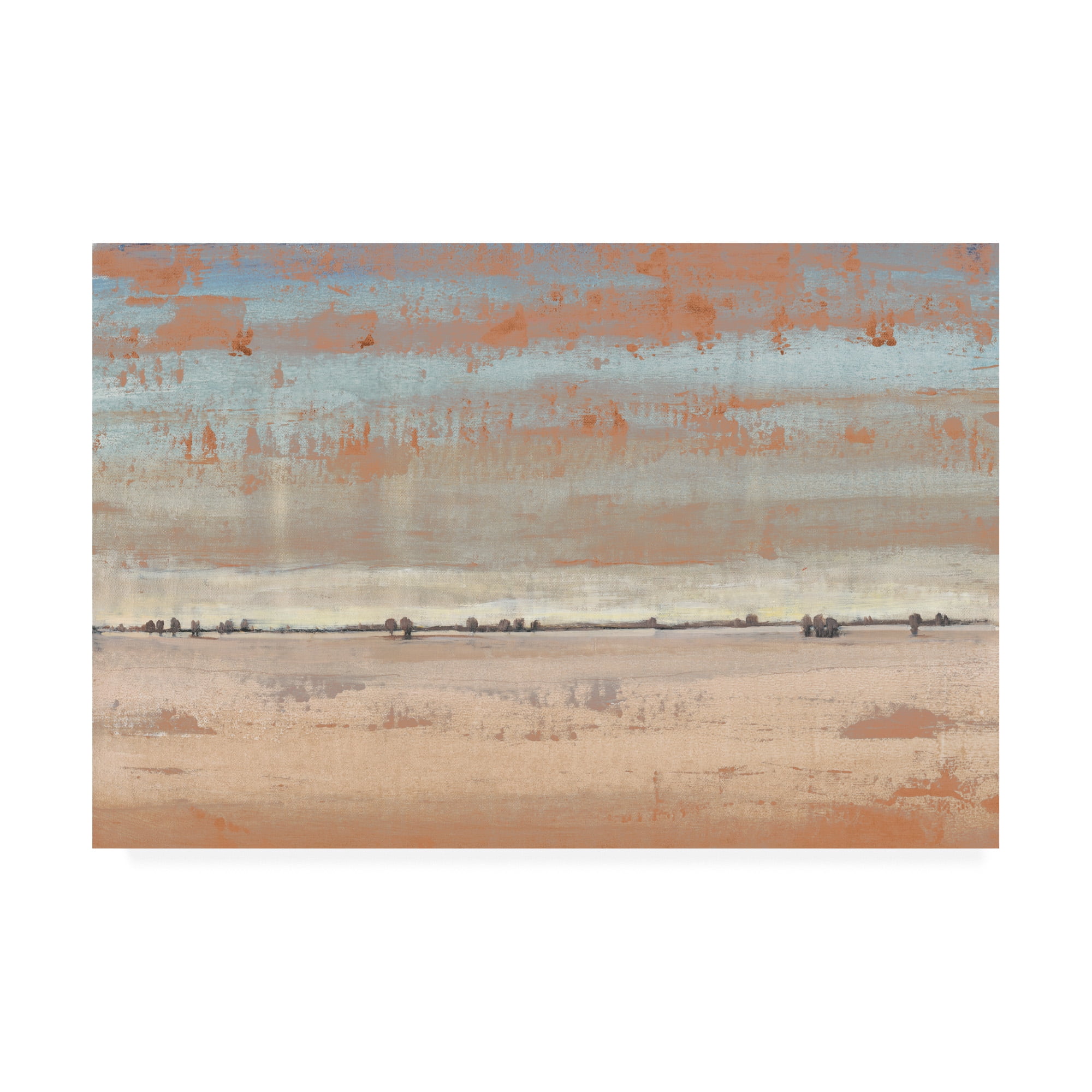 Trademark Fine Art 'Southwest Vista I' Canvas Art by Tim OToole