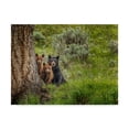 thumbnail image 1 of Trademark Fine Art 'Sow And Cubs Family' Canvas Art by Galloimages Online, 1 of 3