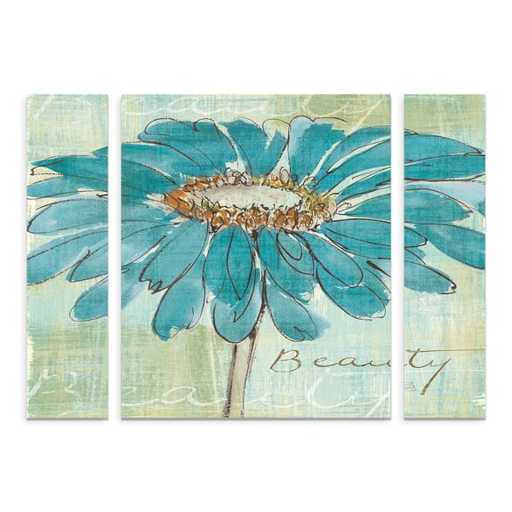 Trademark Fine Art 'Spa Daisies I' Canvas Art by Chris Paschke