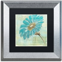 Trademark Fine Art "Spa Daisies II" Canvas Art by Chris Paschke Black Matte, Silver Frame