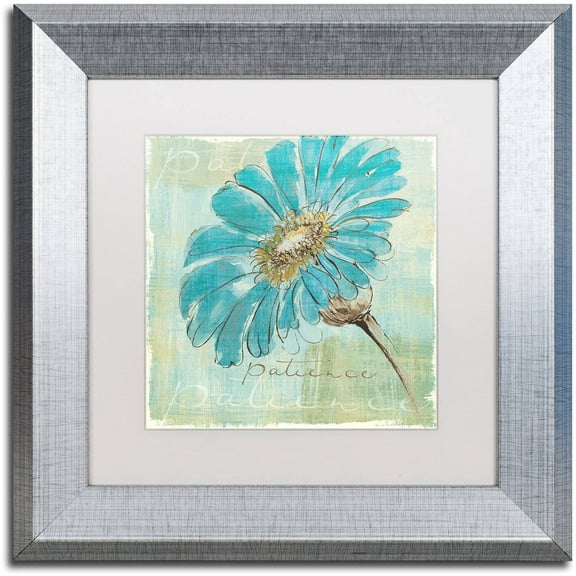 Trademark Fine Art "Spa Daisies II" Canvas Art by Chris Paschke White Matte, Silver Frame