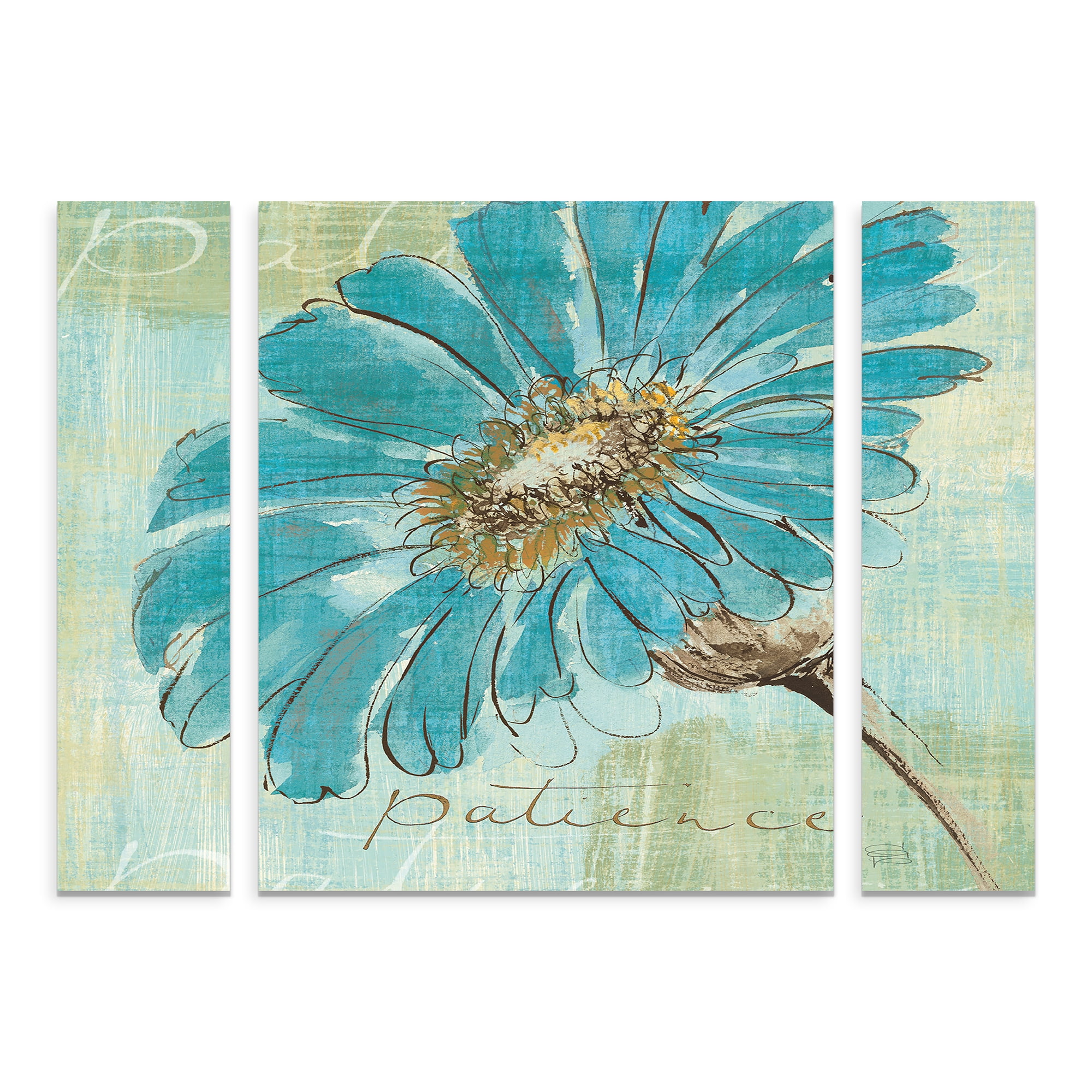 Trademark Fine Art 'Spa Daisies II' Canvas Art by Chris Paschke