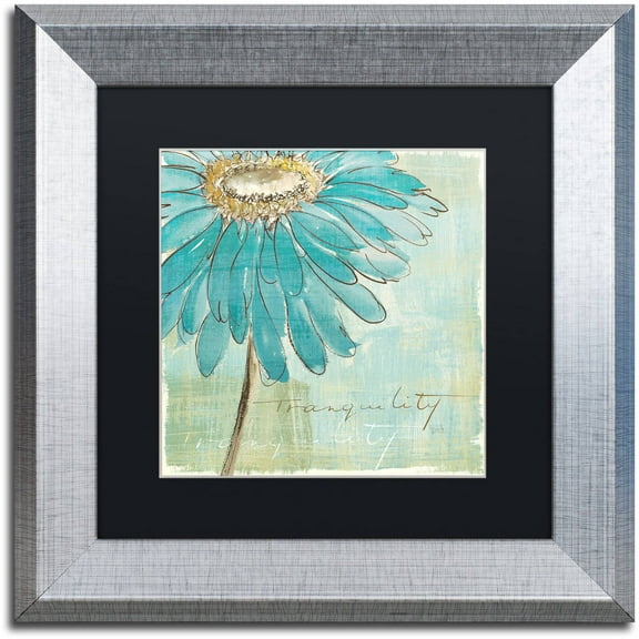 Trademark Fine Art "Spa Daisies III" Canvas Art by Chris Paschke Black Matte, Silver Frame