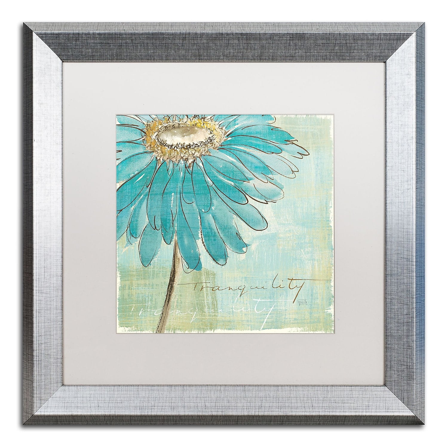 Trademark Fine Art "Spa Daisies III" Canvas Art by Chris Paschke White Matte, Silver Frame