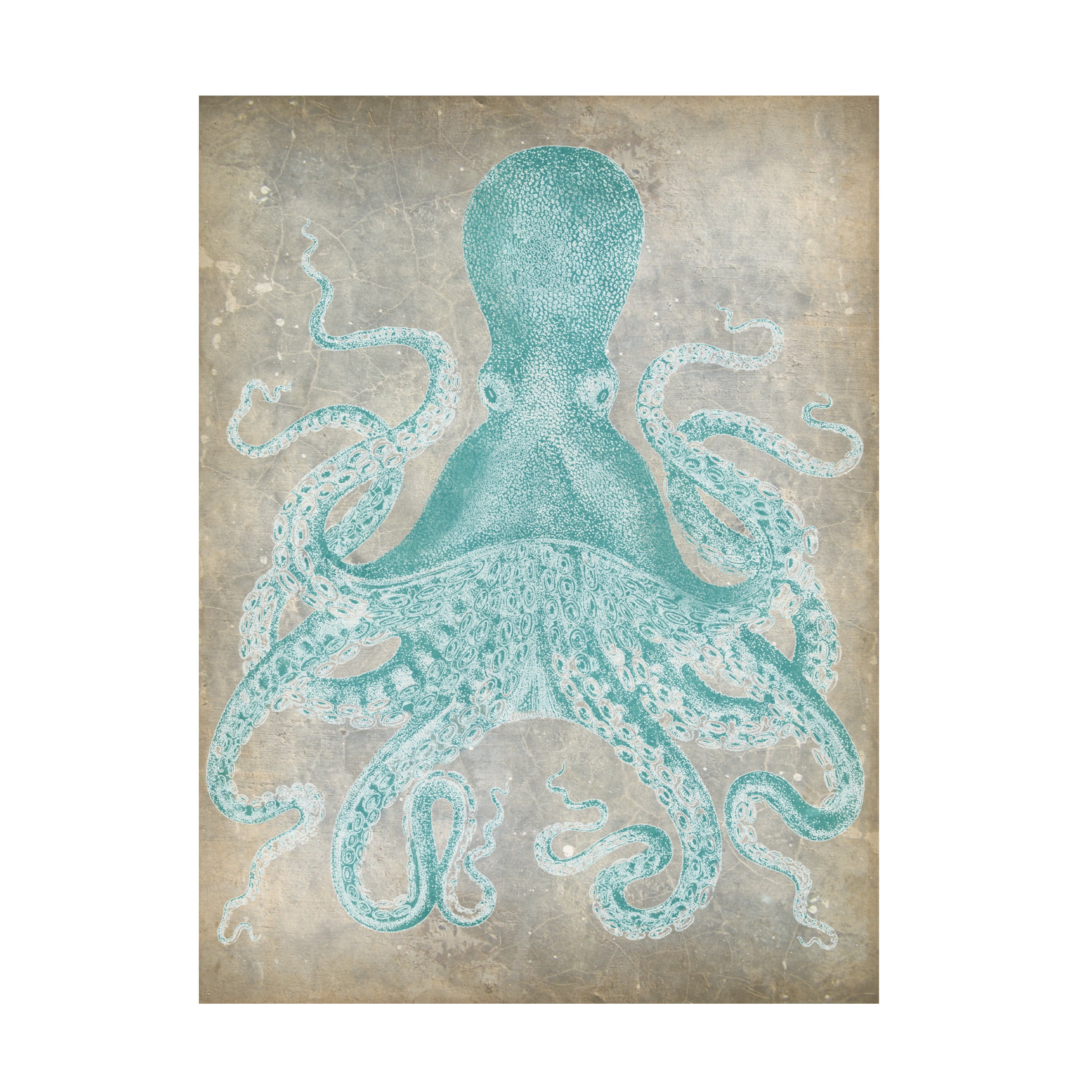 Trademark Fine Art Jennifer Goldberger Spa Octopus I Canvas Wall Art - 35x47