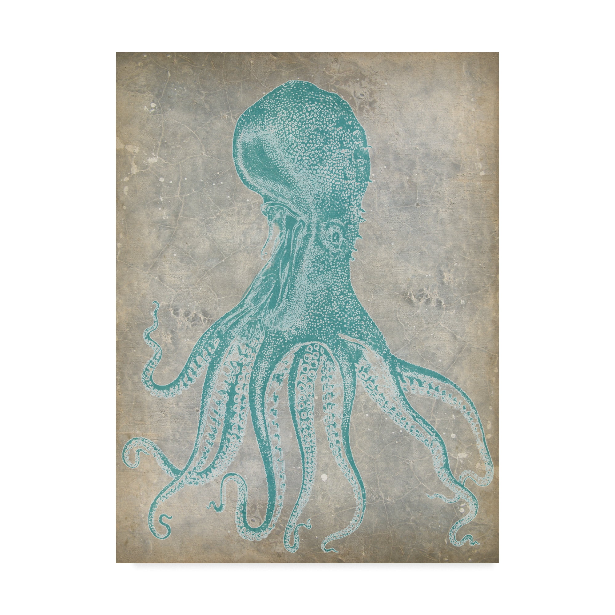 Trademark Fine Art 'Spa Octopus II' Canvas Art by Jennifer Goldberger