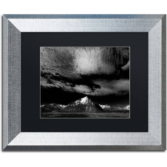 Trademark Fine Art "Space Invaders" Canvas Art by Philippe Sainte-Laudy Black Matte, Silver Frame