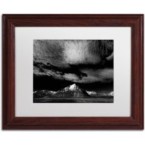 Trademark Fine Art "Space Invaders" Canvas Art by Philippe Sainte-Laudy White Matte, Wood Frame