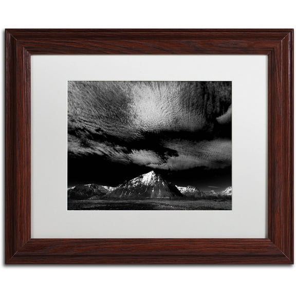 Trademark Fine Art "Space Invaders" Canvas Art by Philippe Sainte-Laudy White Matte, Wood Frame