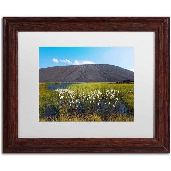 Trademark Fine Art 'Space Walk' Canvas Art by Philippe Sainte-Laudy, White Matte, Wood Frame