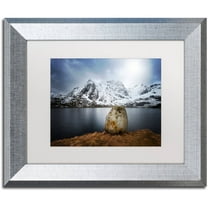 Trademark Fine Art "Spaceways Theme" Canvas Art by Philippe Sainte-Laudy, White Matte, Silver Frame