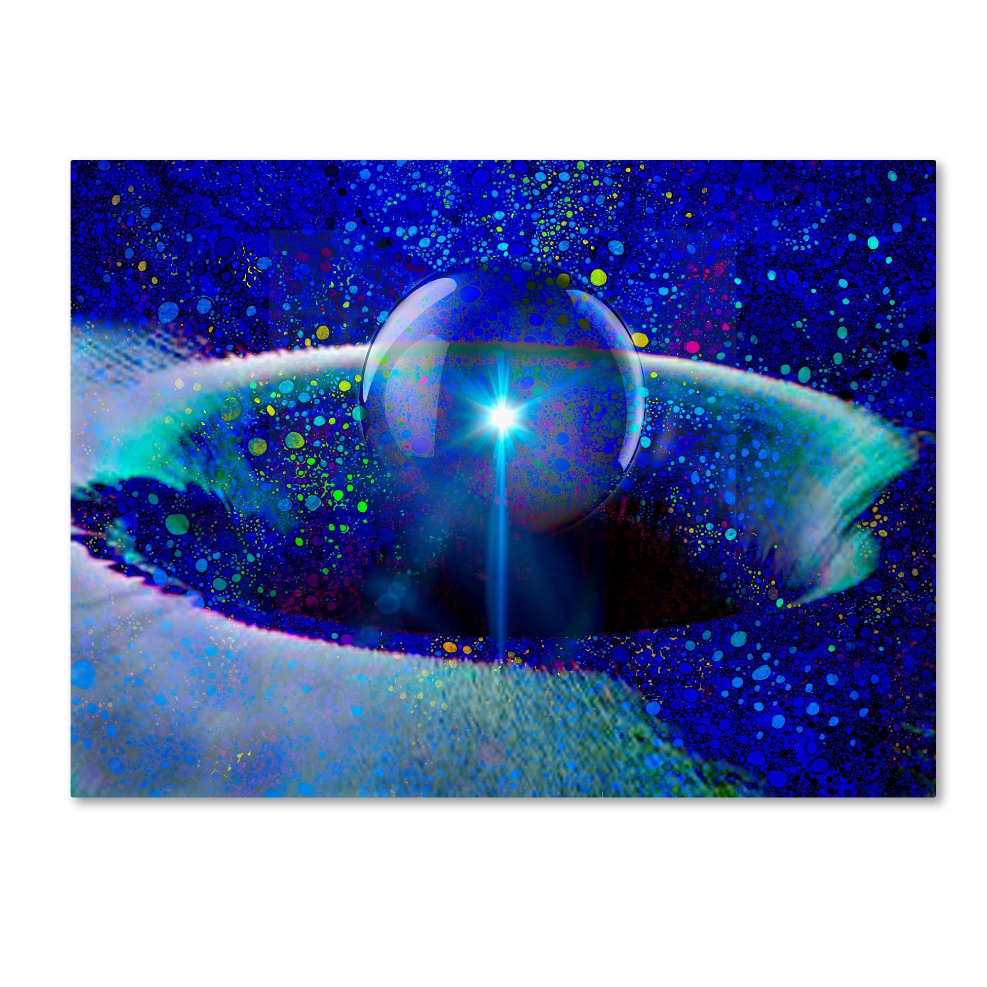 Trademark Fine Art 'Spark Of Awareness' Canvas Art by MusicDreamerArt