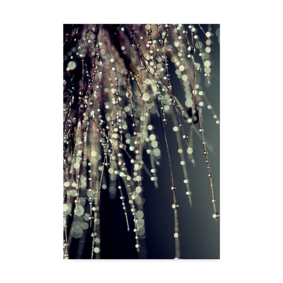 Trademark Fine Art 'Sparkling Afternoon' Canvas Art by Incredi