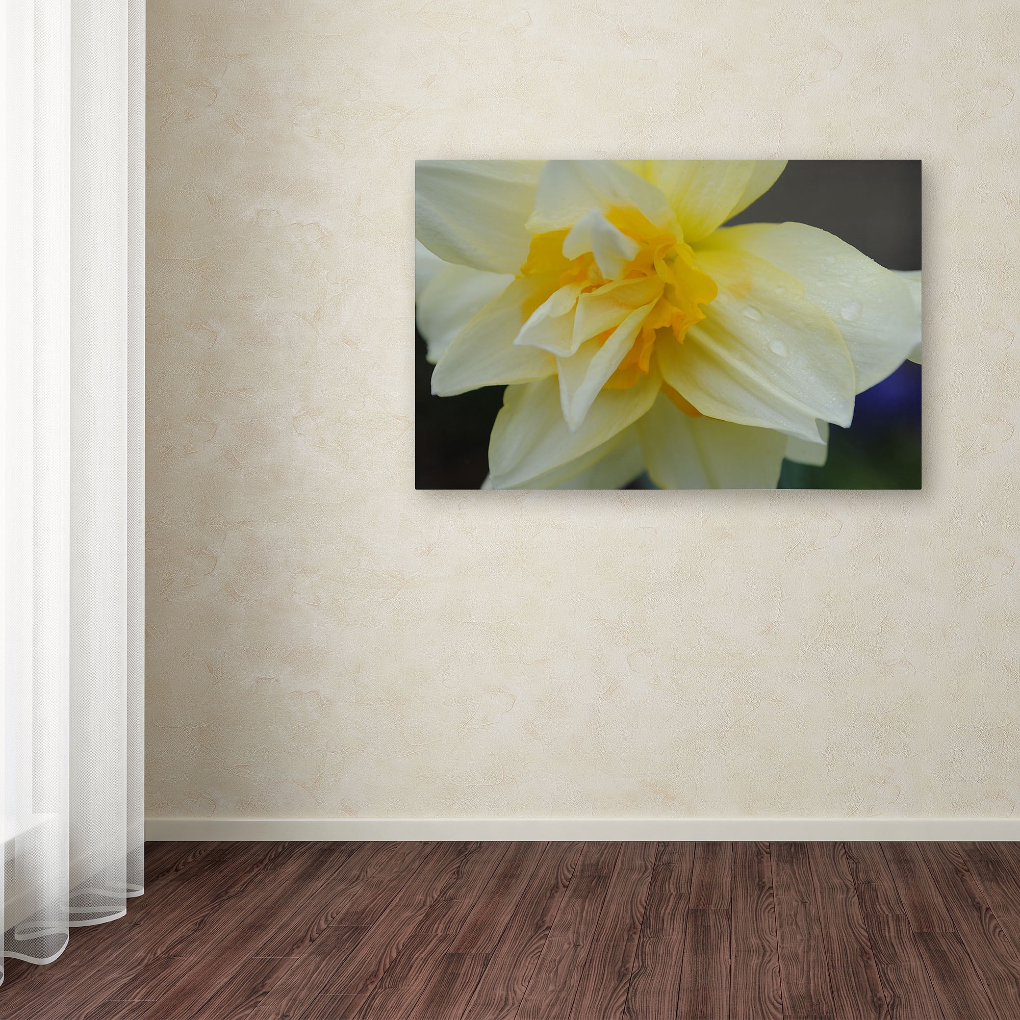 Trademark Fine Art "Sparkling Truth" Canvas Art by Monica Fleet