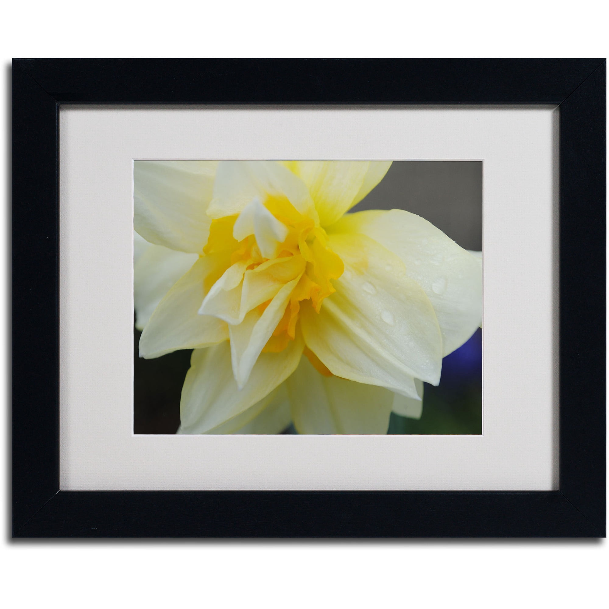Trademark Fine Art "Sparkling Truth" by Monica Fleet, Black Frame
