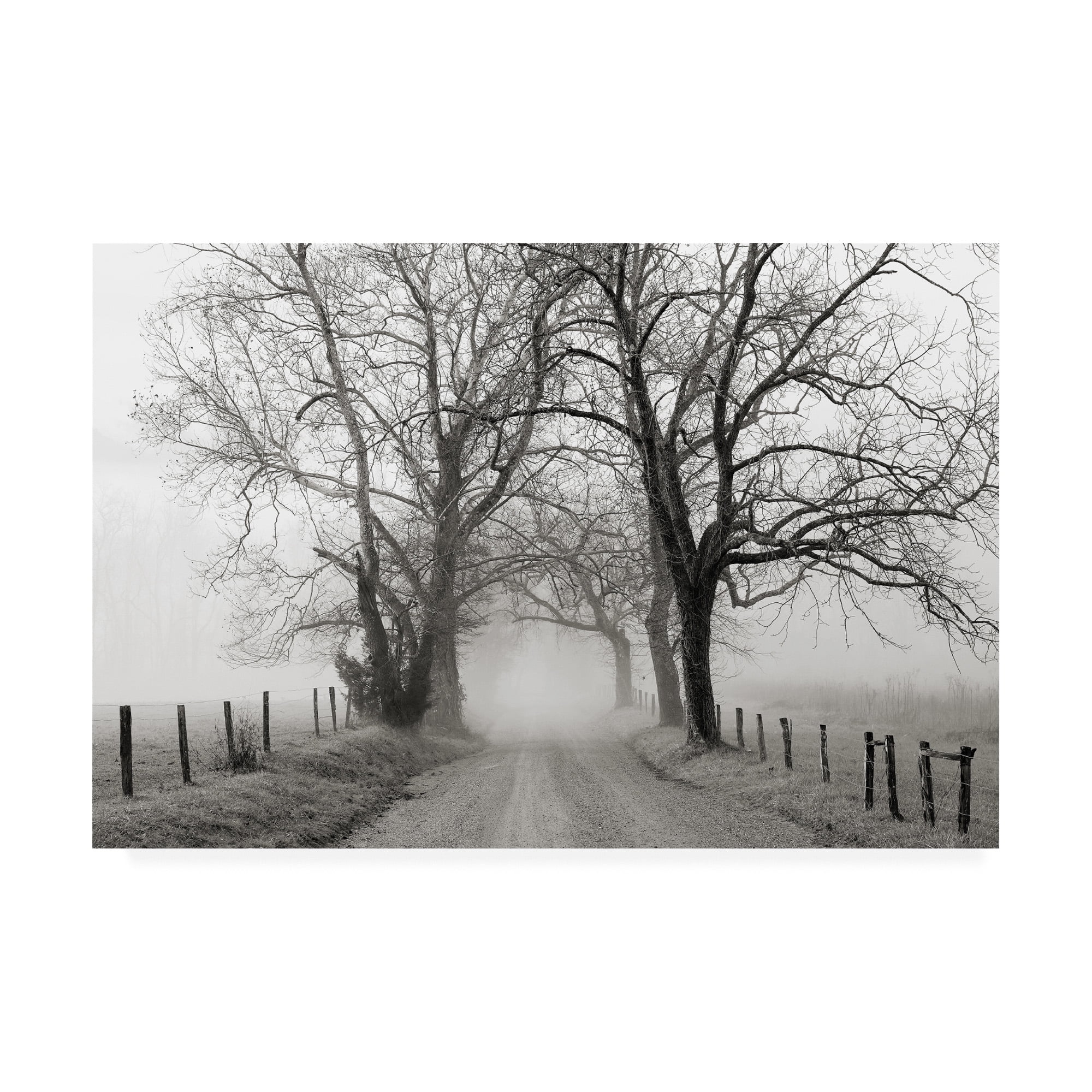 Trademark Fine Art 'Sparks Lane, Late Autumn' Canvas Art by Nicholas Bel