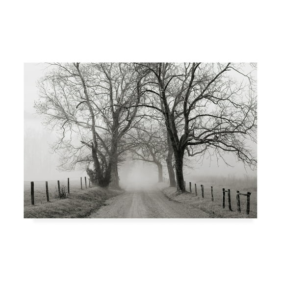 Trademark Fine Art 'Sparks Lane, Late Autumn' Canvas Art by Nicholas Bel