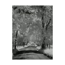 Trademark Fine Art 'Sparks Ln Ir' Canvas Art by J.D. McFarlan