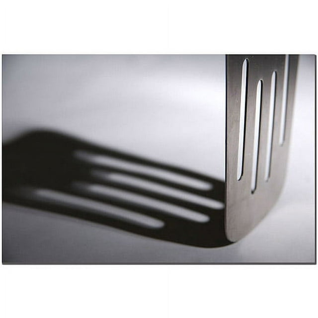 Trademark Fine Art "Spatula II" Canvas Art by Tammy Davison