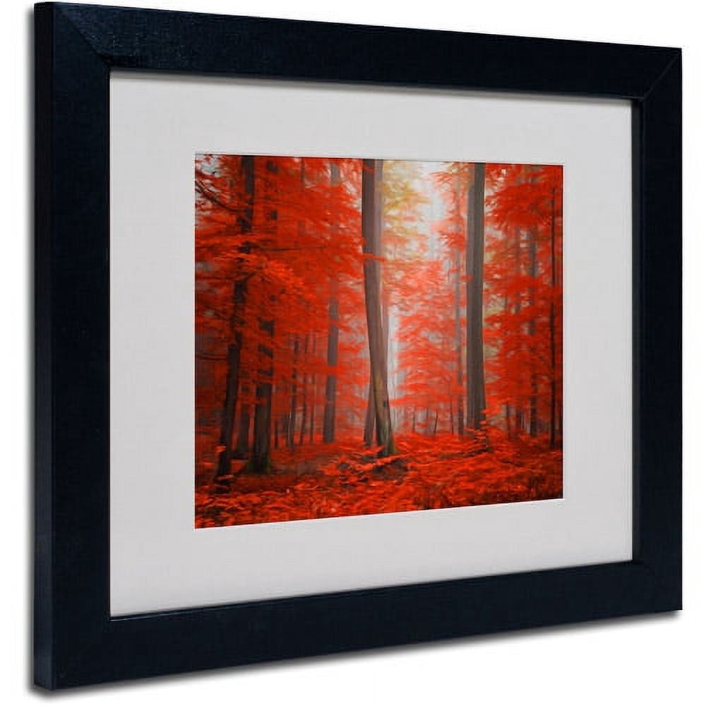 Trademark Fine Art "Speaking of Tongue" Canvas Art by Philippe Sainte-Laudy, Black Frame