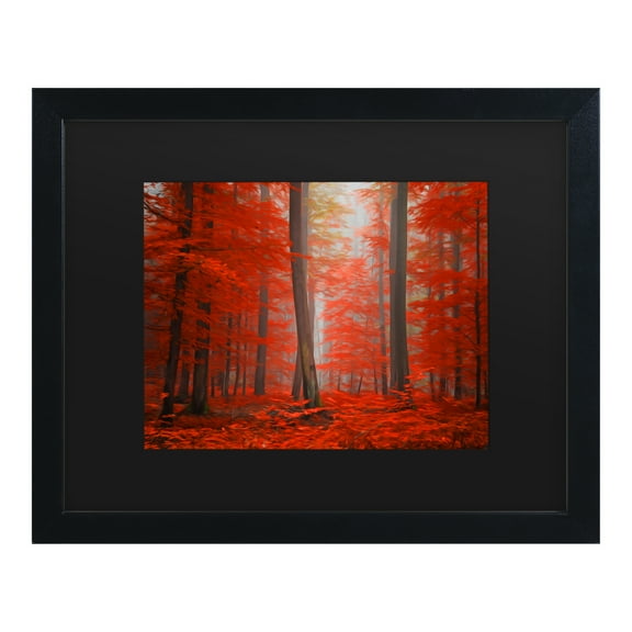 Trademark Fine Art 'Speaking of Tongues' Canvas Art by Philippe Sainte-Laudy