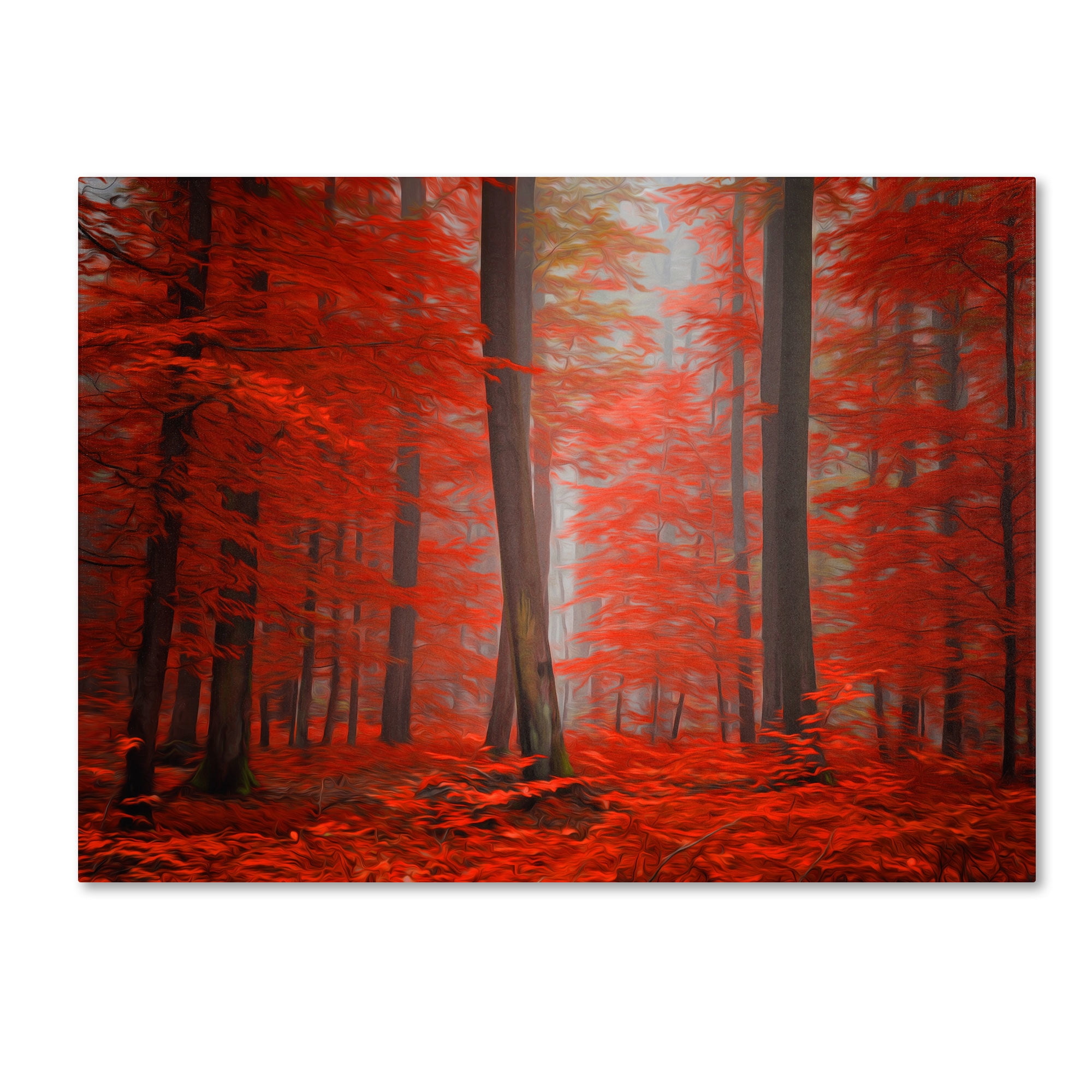 Trademark Fine Art "Speaking of Tongues" Canvas Art by Philippe Sainte-Laudy