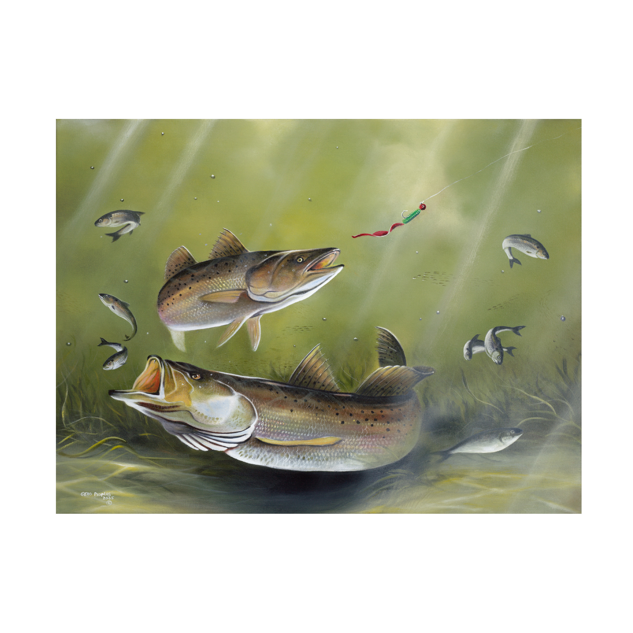 Trademark Fine Art Geno Peoples Speckled Trout Canvas Wall Art - 35x47