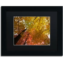 Trademark Fine Art "Spectacular Brilliant Autumn Trees" Canvas Art by Kurt Shaffer, Black Matte, Black Frame
