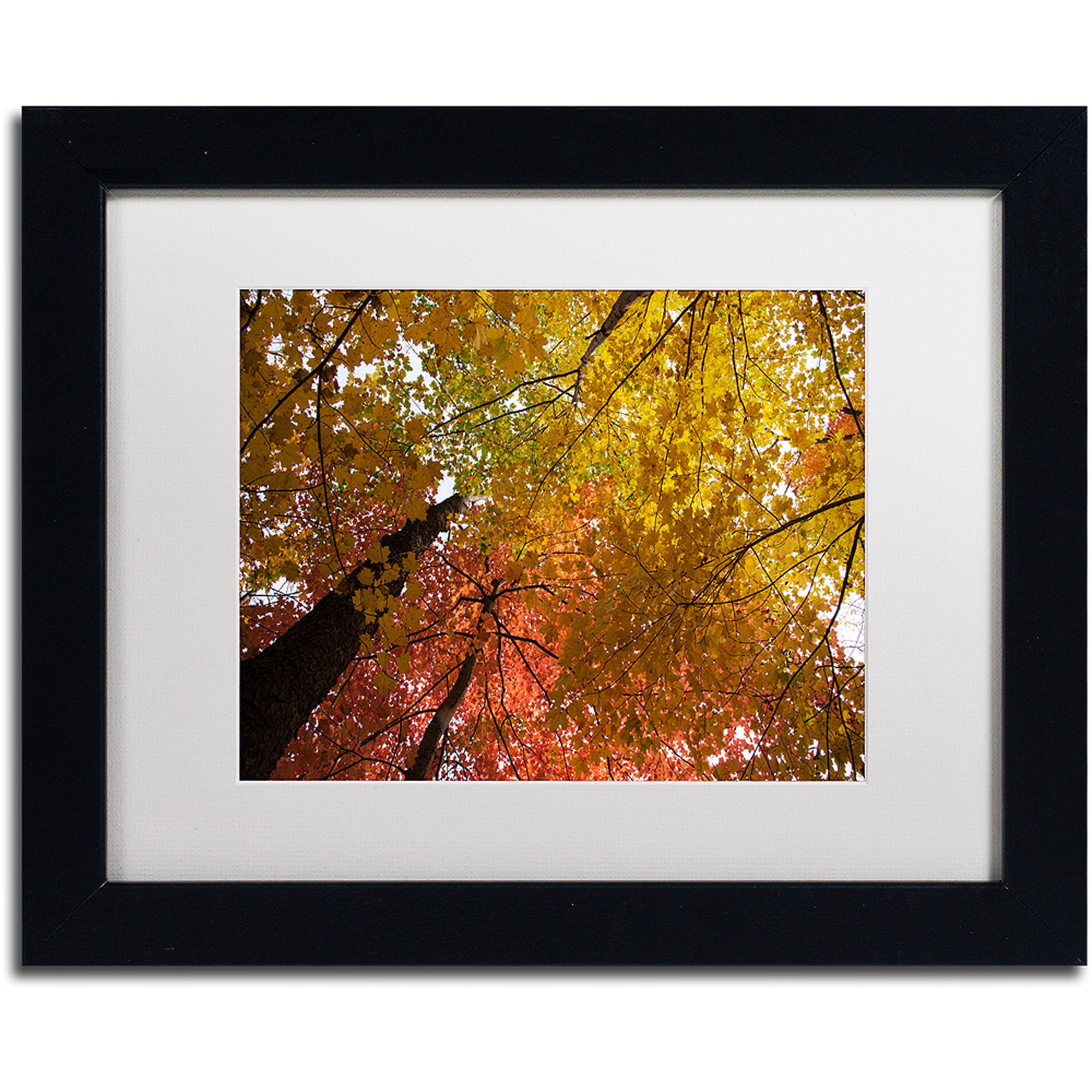 Trademark Fine Art "Spectacular Brilliant Autumn Trees" Canvas Art by Kurt Shaffer, White Matte, Black Frame