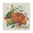 thumbnail image 1 of Trademark Fine Art 'Spice Season VIII - Thankful' Canvas Art by Daphne Brissonnet, 1 of 3