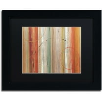 Trademark Fine Art "Spiced II" Canvas Art by Lisa Audit, Black Matte, Black Frame