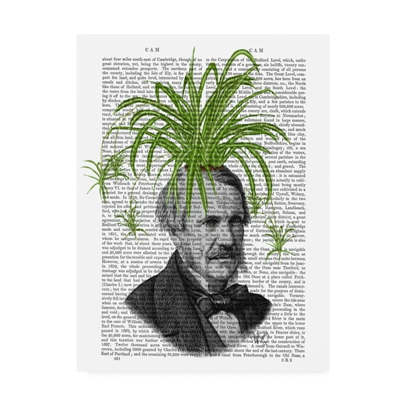 Trademark Fine Art 'Spider Plant Head' Canvas Art by Fab Funky