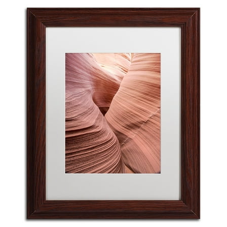 Trademark Fine Art "Spiral V" Canvas Art by Moises Levy White Matte, Wood Frame