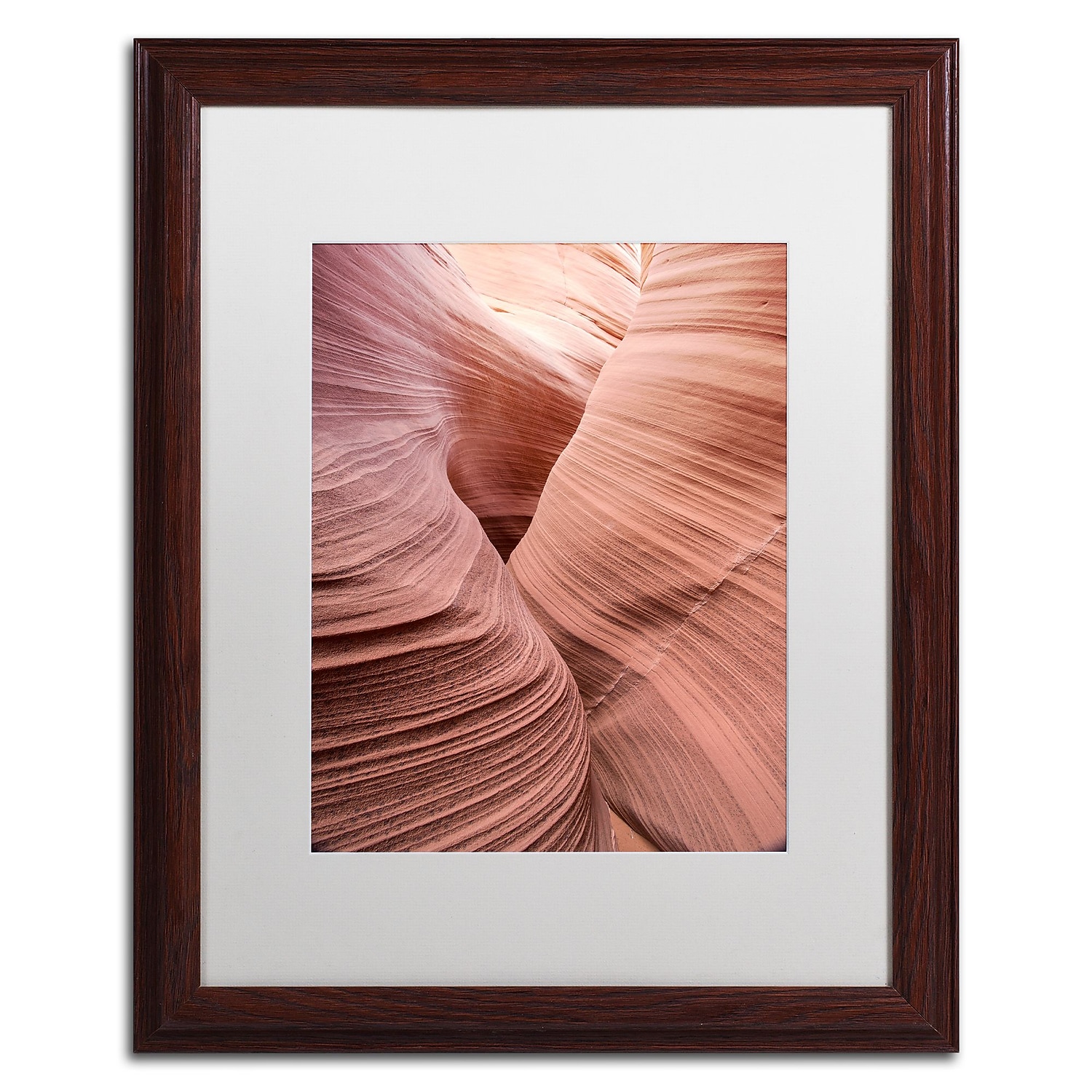 Trademark Fine Art "Spiral V" Canvas Art by Moises Levy White Matte, Wood Frame