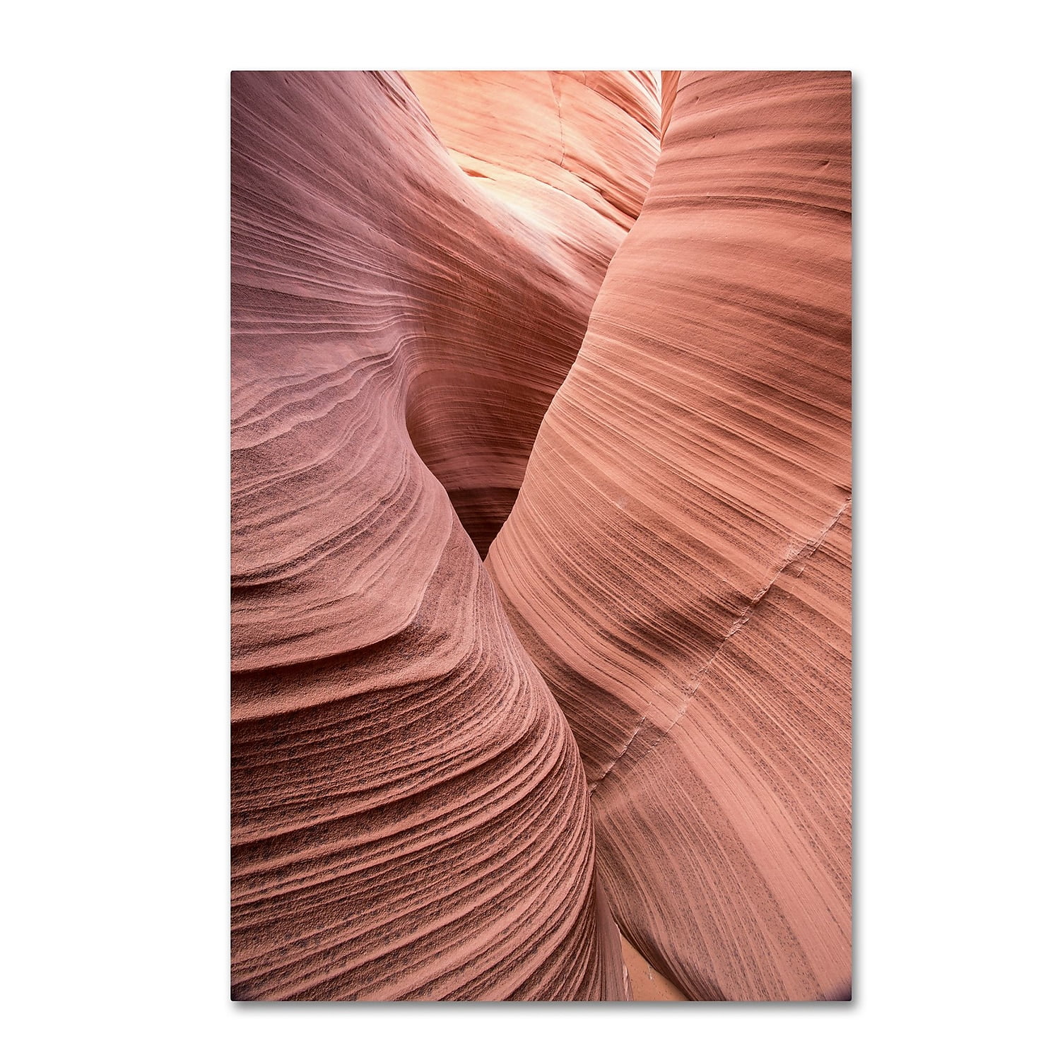 Trademark Fine Art "Spiral V" Canvas Art by Moises Levy