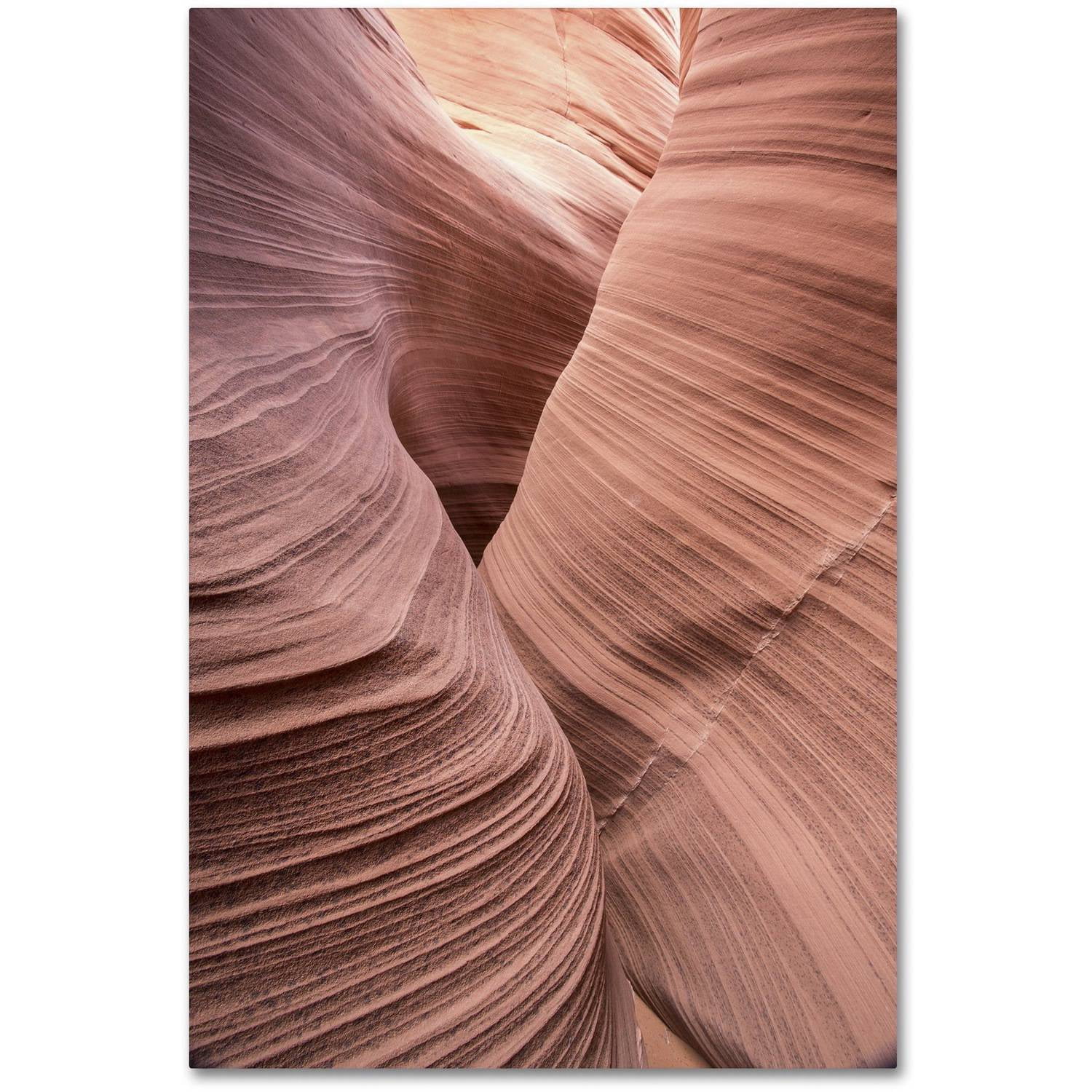 Trademark Fine Art "Spiral V" Canvas Art by Moises Levy