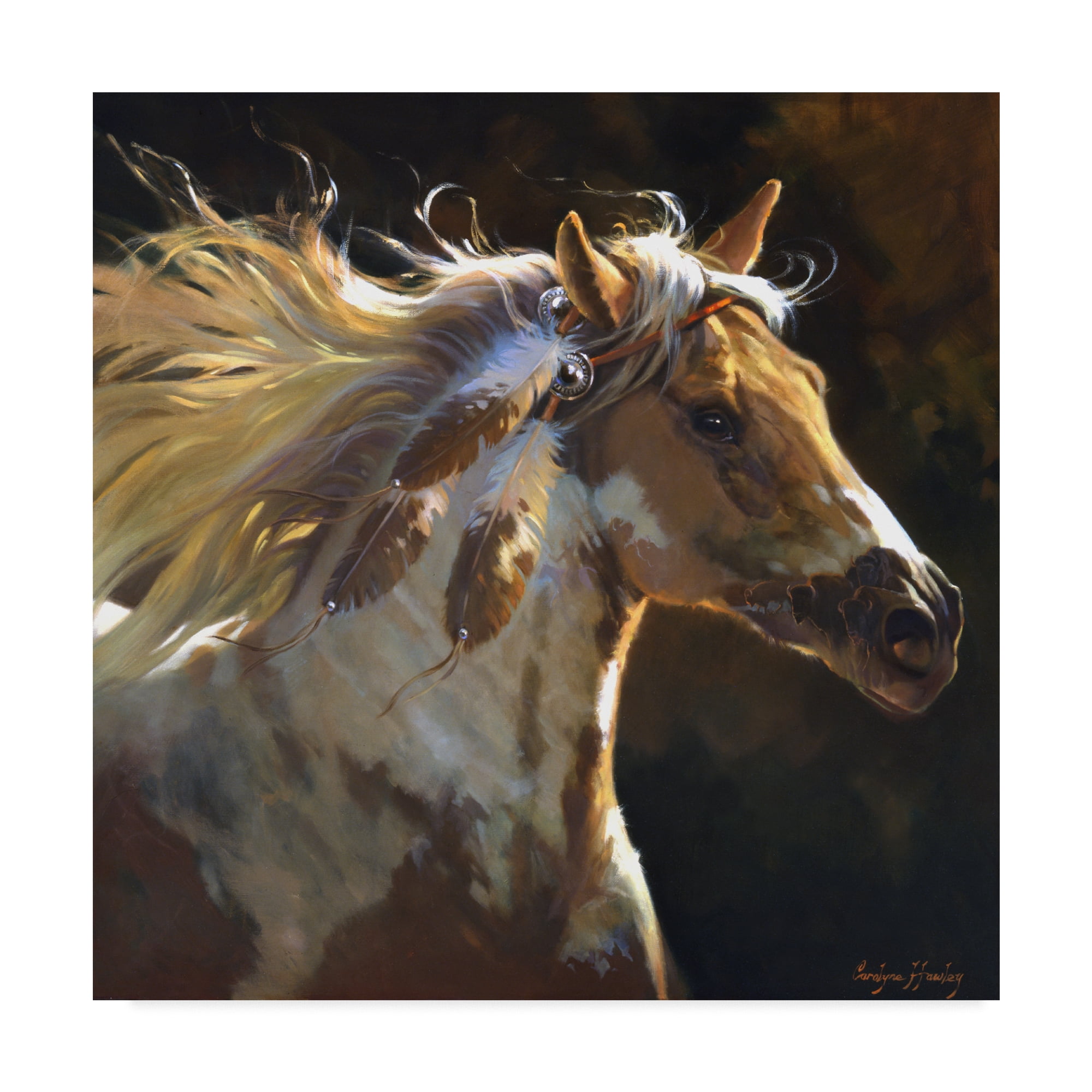 Trademark Fine Art 'Spirit Horse' Canvas Art by Carolyne