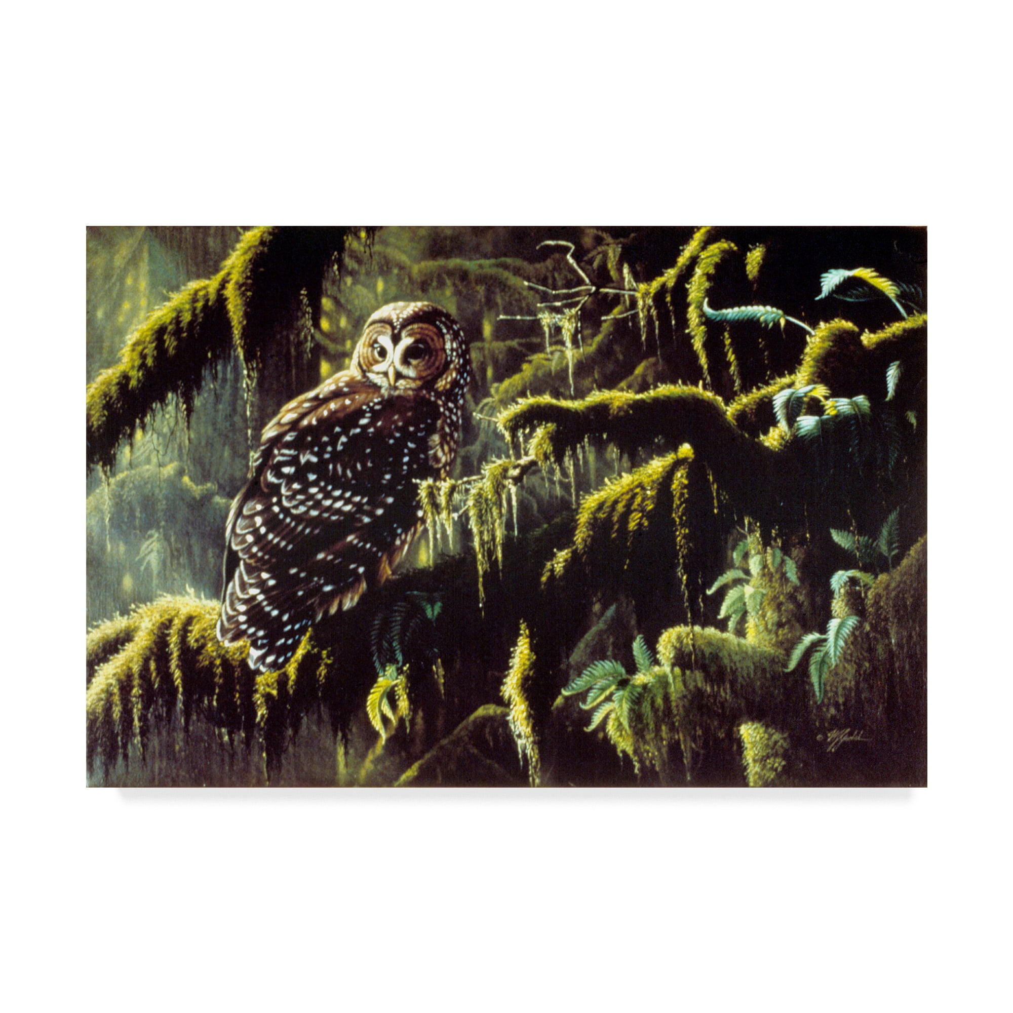 Trademark Fine Art 'Spirit Of Ancient Forests' Canvas Art by Wilhelm Goebel