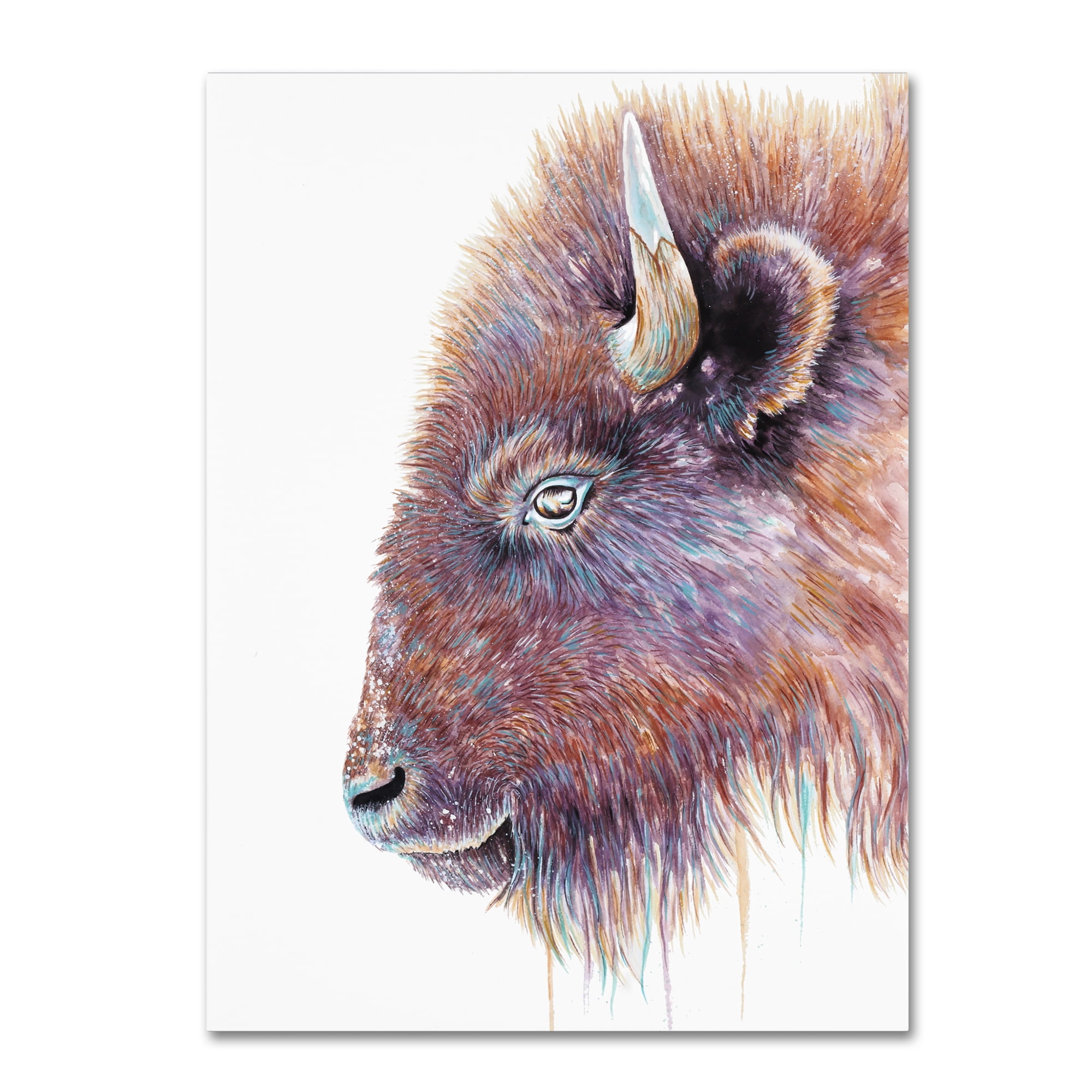 Trademark Fine Art 'Spirit Of The West Buffalo' Canvas Art by Michelle Faber