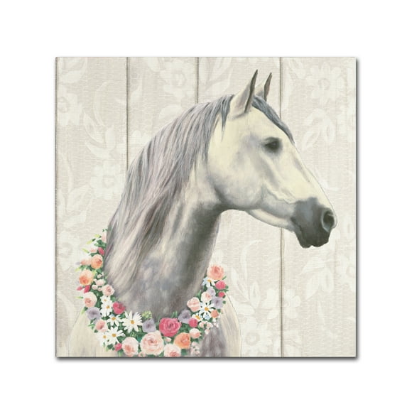 Trademark Fine Art 'Spirit Stallion I on wood Square' Canvas Art by James Wiens