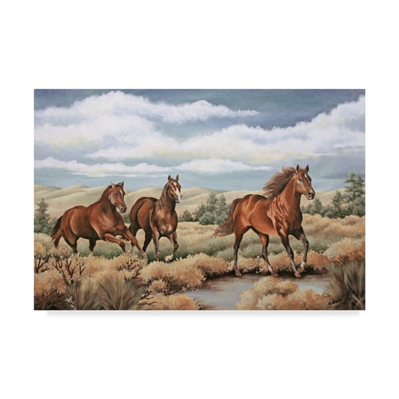 Trademark Fine Art 'Spirit of the Southwest' Canvas Art by Carol J Rupp