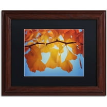 Trademark Fine Art "Spiritual Food" Canvas Art by Philippe Sainte-Laudy Black Matte, Wood Frame