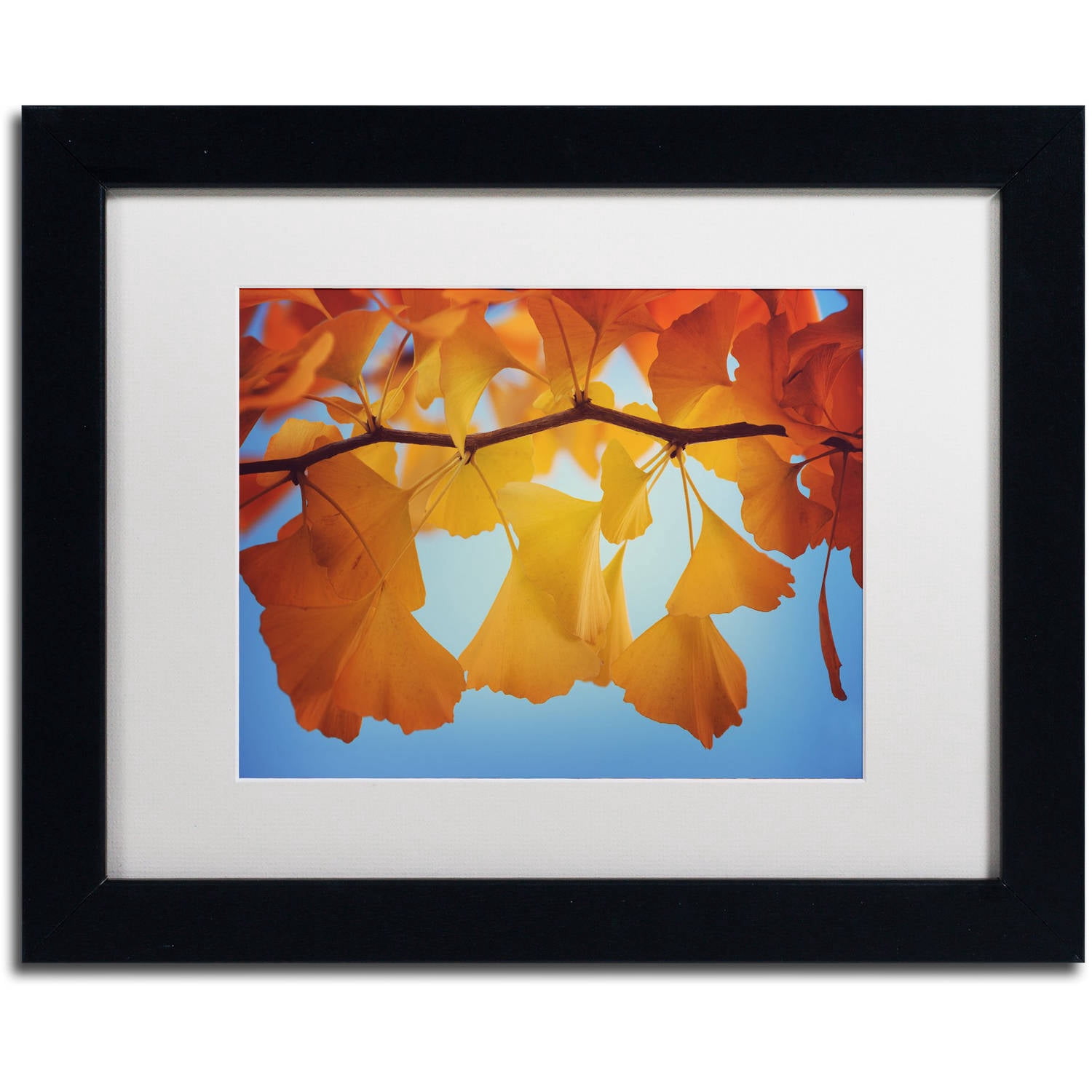 Trademark Fine Art "Spiritual Food" Canvas Art by Philippe Sainte-Laudy White Matte, Black Frame