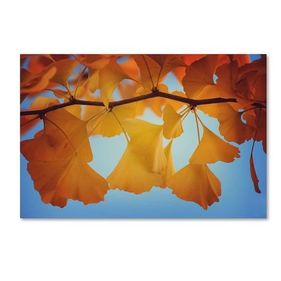 Trademark Fine Art "Spiritual Food" Canvas Art by Philippe Sainte-Laudy