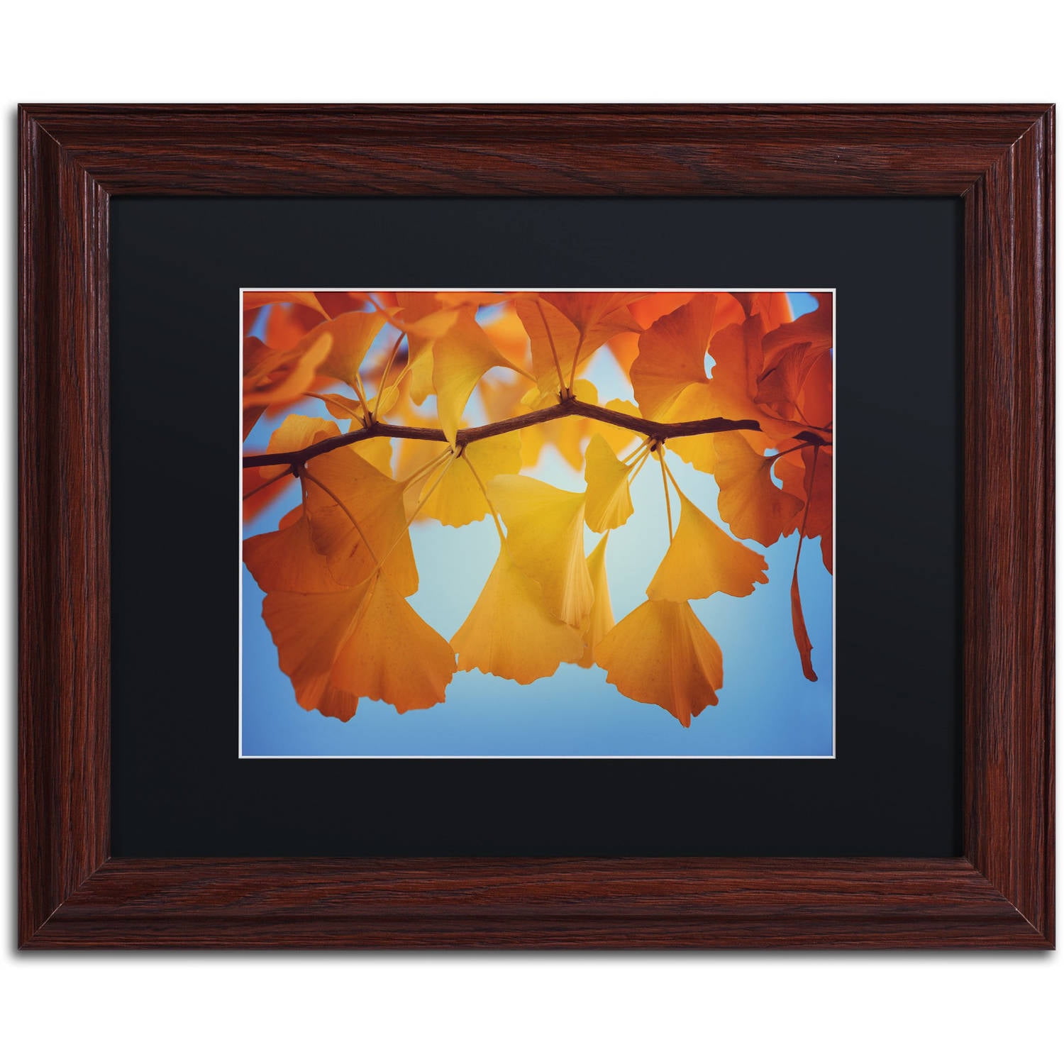 Trademark Fine Art ''Spiritual Food'' by Philippe Sainte-Laudy 16" x 20" Black Matted Wood Frame (886511798953)