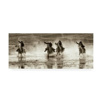 Trademark Fine Art 'Splash Dance II' Canvas Art by Lisa Dearin