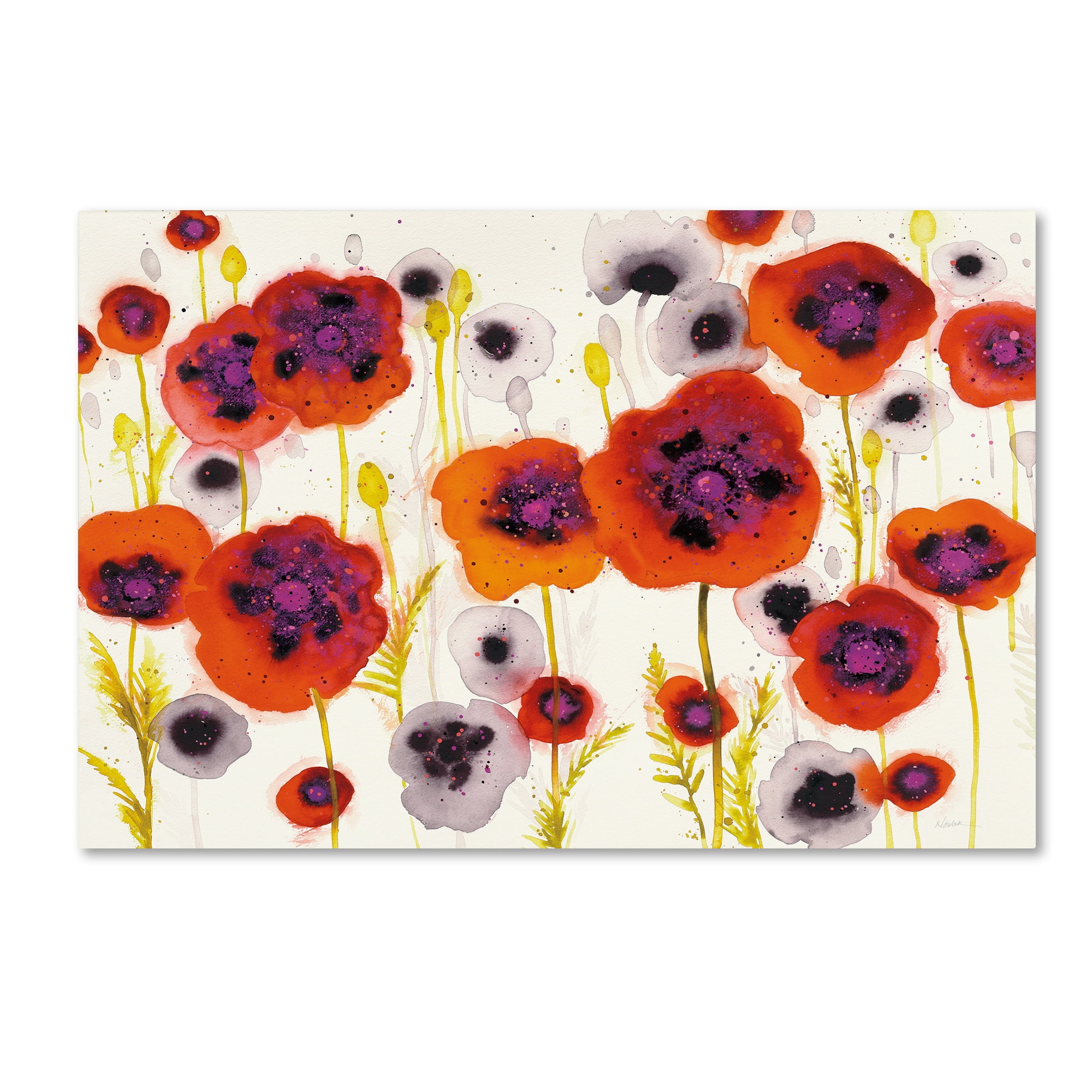 Trademark Fine Art "Splash Garden I" Canvas Art by Shirley Novak